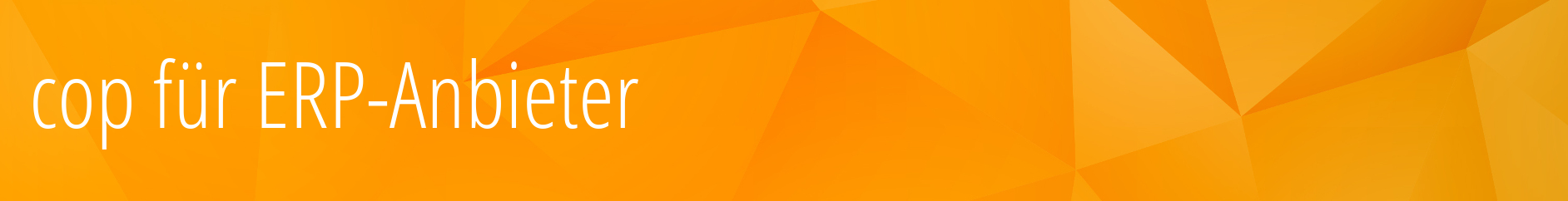 ERP-Systeme Partner cop